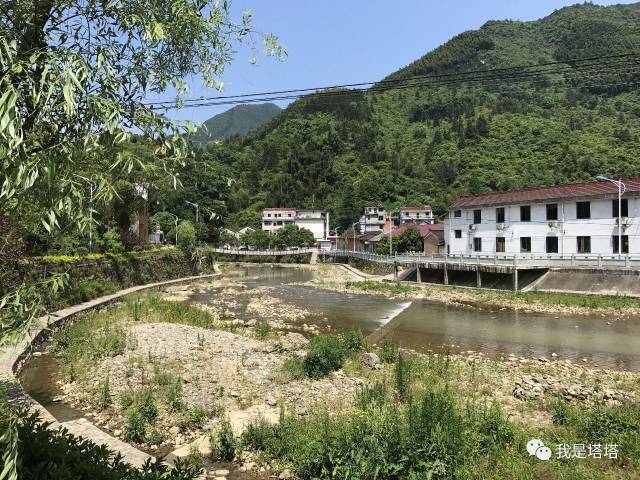 龙泉市塔石街道山际口村竹初加工项目招标公告变更公告(图1)