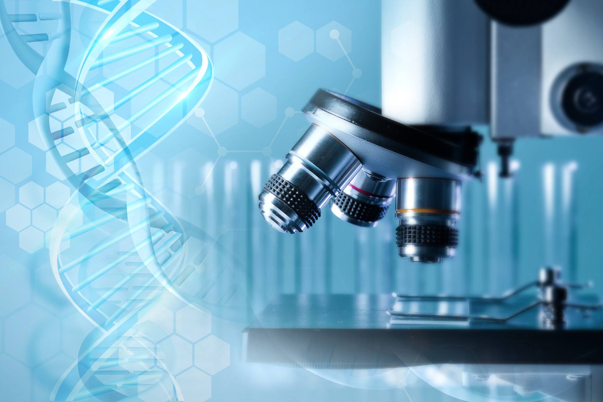 无糖奶粉有哪些品牌推荐(图1)